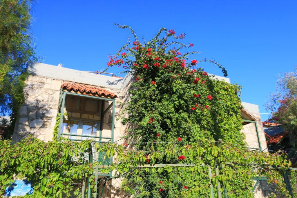 Green House Apart Hotel Gümbet Exterior foto